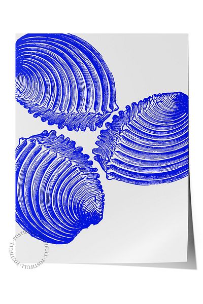 Postifull Poster de perete fără încadrare, scoici, ilustrație, albastru, poster de culoare albă, selecție de vară 2025, NR:1098