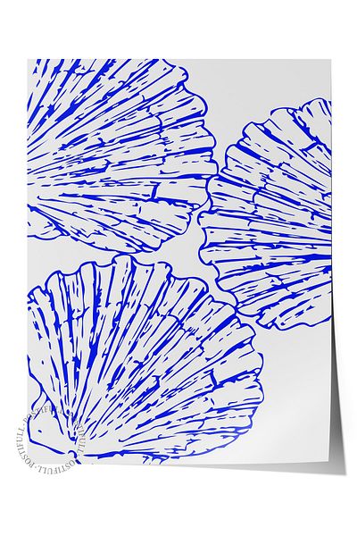 Postifull Frameless Wall Poster, Shells, Illustration, Blue, White Color Poster, 2025 Summer Selection, No:1098