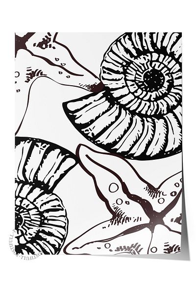 Postifull Frameless Wall Poster, Ammonite, Starfish, Illustration, Black, White Color Poster, 2025 Summer Choose