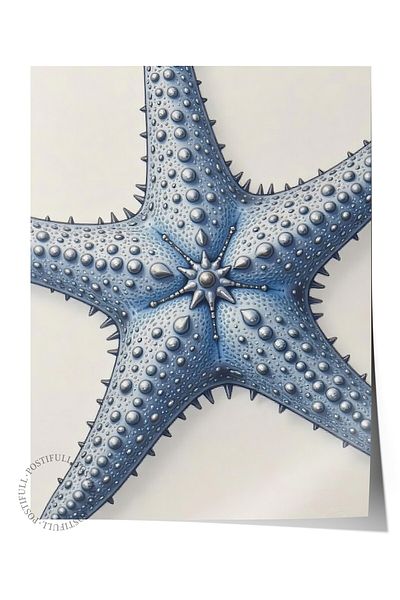 Postifull Frameless Wall Poster, Starfish, Illustration, Blue Color Poster, 2025 Summer Selection, No:109667