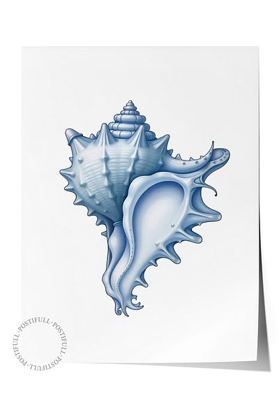 Postifull Frameless Wall Poster, Blue Seashell, Illustration, Blue Color Poster, 2025 Summer Selection, No:10