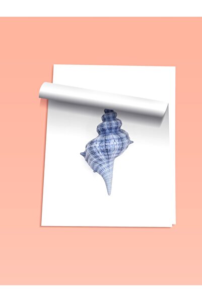 Postifull Çerçevesiz Duvar Posteri, Deniz Kabuğu, İllüstrasyon, Mavi Renk Poster, 2025 Yaz Seçkisi, NO:109579