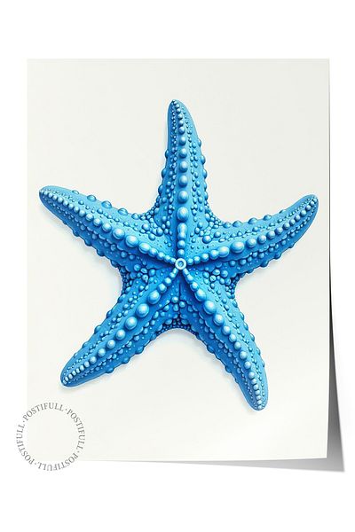 Postifull Frameless Wall Poster, Starfish, Illustration, Blue Color Poster, 2025 Summer Selection, No:109668