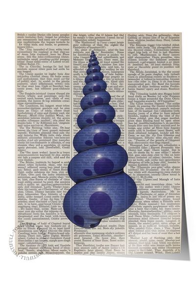 Postifull Frameless Wall Poster, Seashell on Newspaper, Illustration, Blue Color Poster, 2025 Summer Selection,