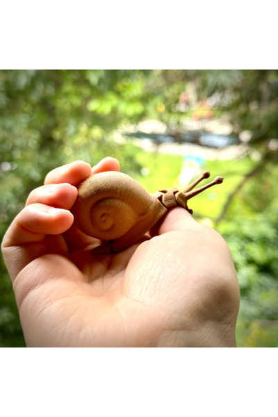 TSC Doğal PLA Ahşap Malzeme Harekeli Salyangoz 10 Cm