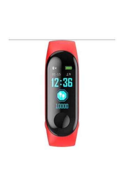 SIKS ® fitness bracelet, heart rate measurement and other body functions, USB, Bluetooth, red color