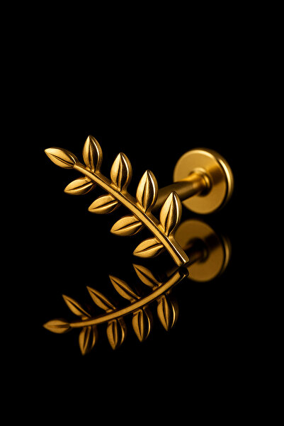 depozoom Titanyum Flatback Tragus Helix Conch Flat kıkırdak ZİRKON Piercing 100%TT-20