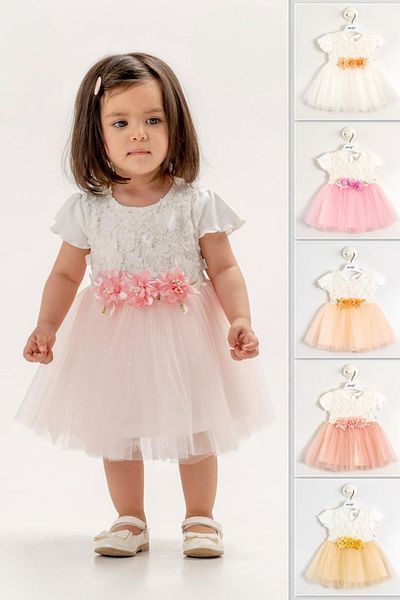 Baby Animals Baby Girl Girl Kid Birthday Party Wedding Dress Short Sleeve Lace Flower Tulle Tutu with Tutu Lining