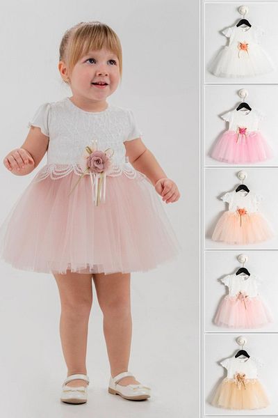 Baby Animals Baby Girl Girl Kid Birthday Party Wedding Dress Short Sleeve Lace Flower Tulle Tutu with Tutu Lining