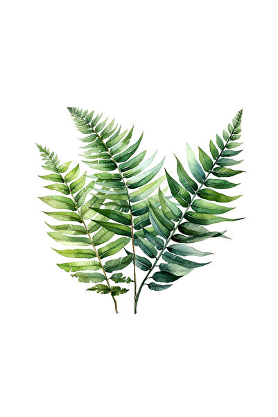 INOVATIX Set de 8 piese, Autocolant Trei frunze de ferigă, INOVATIX®. 6 cm