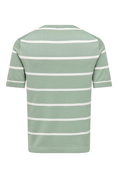 Only & Sons Onswyler Life Reg 14 Ss Striped Knit Men's Green Sweater - Os22032764