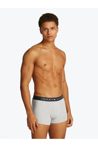 Tommy Hilfiger Tommy Hilfiger Men Gray Original Logo Waistband Trunk Pack of 3