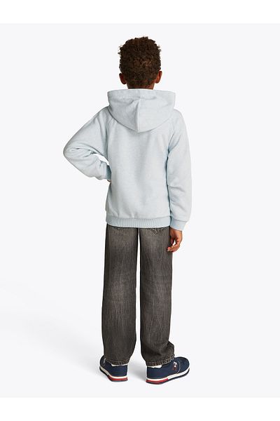 Tommy Hilfiger Boys Breezy Blue Heather Varsity Logo Hoodie