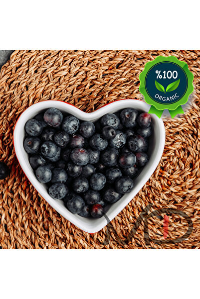 Magika Design Yaban Mersini 1 KG Taze Hasat, Yerli Üretim - %100 Doğal, %100 Taze, %100 Organik