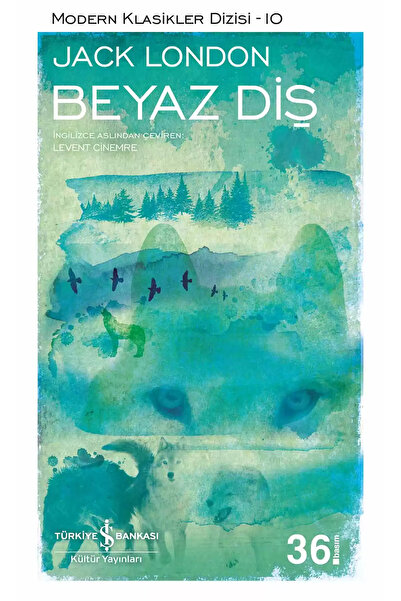 Scholastic White Tooth - Jack London |   Featured