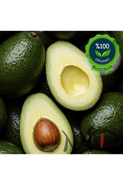Magika Design Avokado 1 KG Taze Hasat, Yerli Üretim - %100 Doğal, %100 Taze, ...
