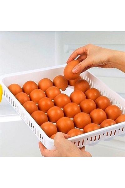 Skygo Buffer ®   15 Egg Storage Container