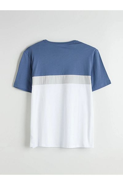 LC Waikiki Crew Neck Color Blocked Combed Cotton Men's T-Shirt