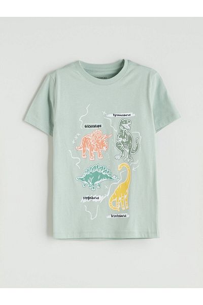 LC Waikiki Green Printed Boys' T-Shirt and Shorts 2-Piece Set