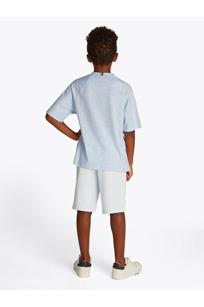 Tommy Hilfiger Boys Breezy Blue Heather Varsity Logo T-Shirt