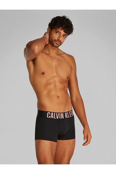 Calvin Klein Calvin Klein Men Multicolored Trunk Pack of 3