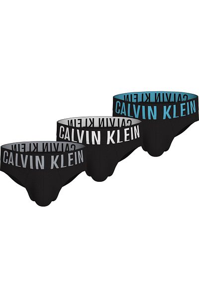Calvin Klein Calvin Klein Men Multicolor Hip Brief Pack of 3