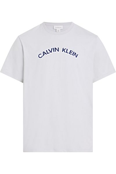 Calvin Klein Calvin Klein Men Gray Violet Curved Logo T-Shirt