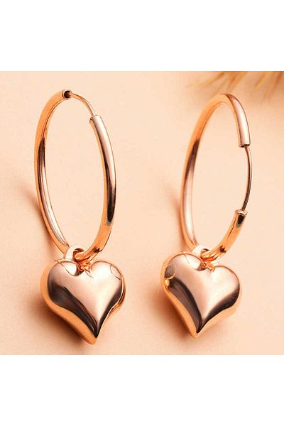 norsary Silver Rose Heart Dangle Earrings for Women