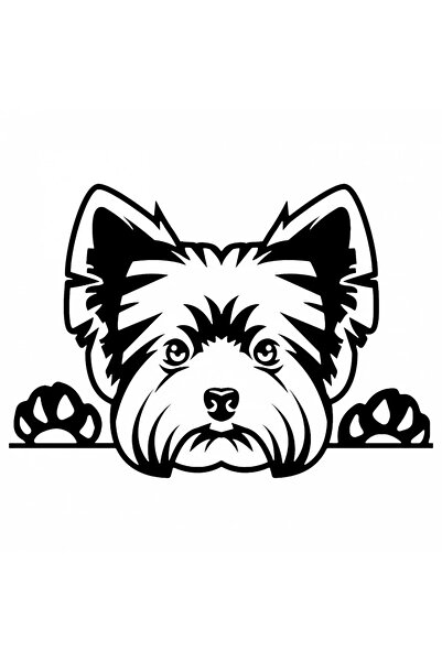 INOVATIX Set de 8 piese, autocolant rasa câine Yorkshire Terrier, INOVATIX®. 6 cm