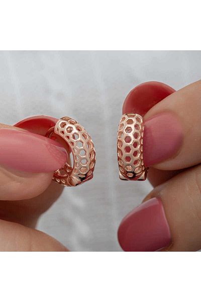 norsary Silver Rose Honeycomb Pattern Hoop Women's Earrings
