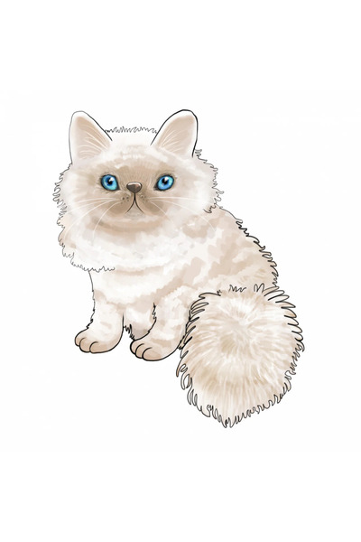 INOVATIX Σετ 8 τεμαχίων, Αυτοκόλλητο Χνουδωτό Γατάκι, INOVATIX®. 6 εκ.