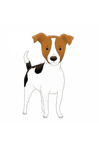 INOVATIX Set de 8 piese, autocolant rasa Jack Russell, INOVATIX®. 6 cm