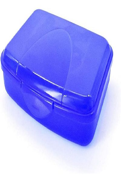 Rival Snack Box Sandwich Container, Reusable & Compact