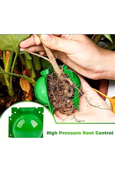 ORMIN Bitki Çoğaltmave Köklendirme Kapsülü (5'li Set) – Yüksek Basınçlı Kökle...