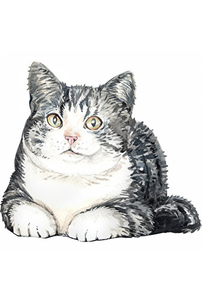 INOVATIX Set de 8 piese, autocolant Pisică odihnindu-se pe podea, INOVATIX®. ...