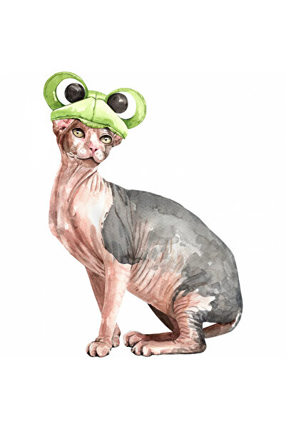 INOVATIX Set de 8 piese, autocolant pisică fără păr cu pălărie, INOVATIX®. 6 cm