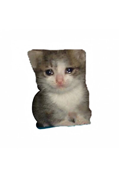 INOVATIX Σετ 8 τεμαχίων, Αυτοκόλλητο meme με τη γάτα που κλαίει, INOVATIX®. 6...