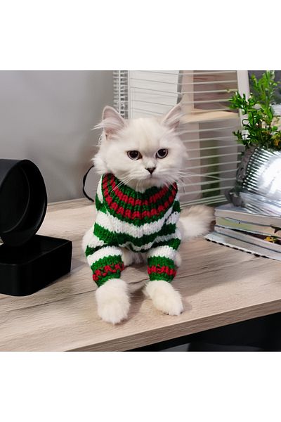 Lady Fify Green and White Striped Sweater with Santa for Cat and Dog
