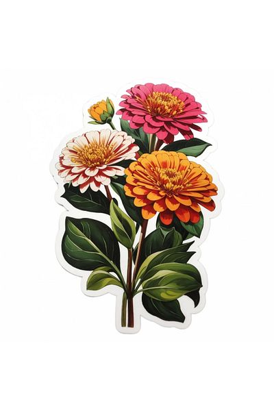 INOVATIX Set de 8 autocolante cu flori de zinnia, INOVATIX®. 6 cm
