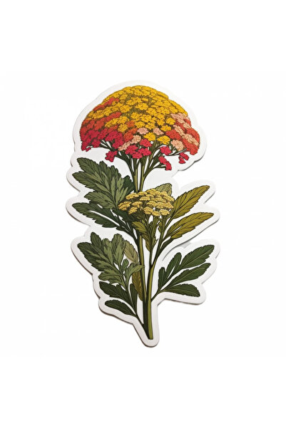 INOVATIX Set de 8 autocolante cu flori de coada-șoricelului, INOVATIX®. 6 cm