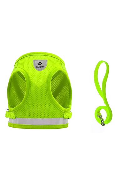 Supet Set ham și lesă pentru pisici, nailon, verde, mărimea M