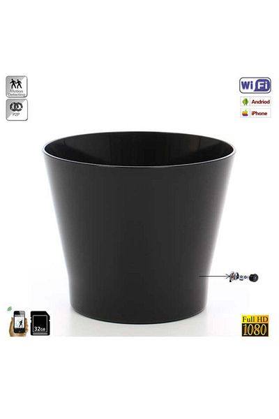 Minitechnics IP video camera p2p wi-fi dvr in flower pot, full HD resolution, 32 GB, motion sensor