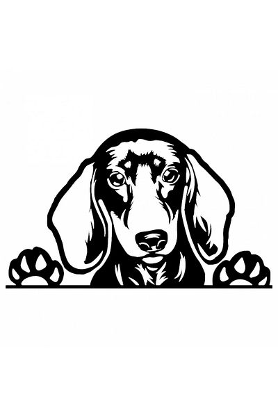 INOVATIX Set de 8 piese, autocolant câine rasă pură Dachshund, INOVATIX®. 6 cm