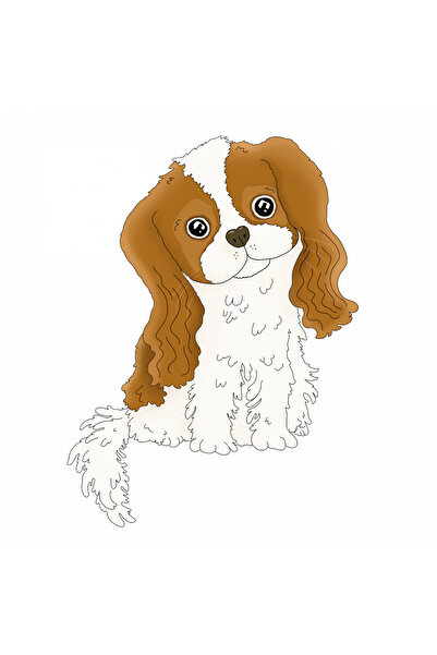 INOVATIX Set de 8 bucăți, autocolant rasă King Charles Spaniel, INOVATIX®. 6 cm