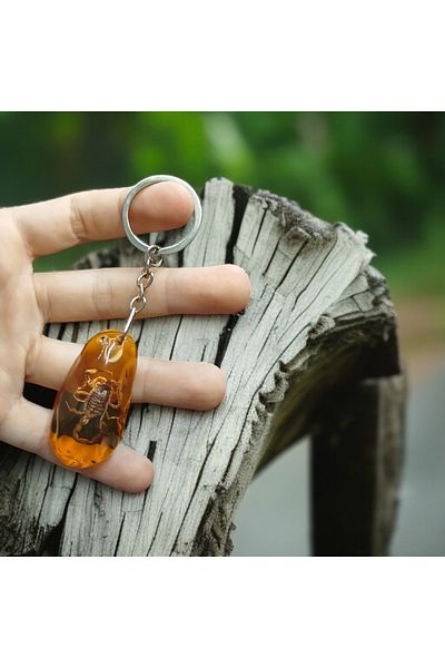 sitre Scorpion Fossil Keychain