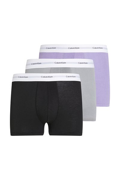 Calvin Klein Men Multicolored Trunk Pack of 3