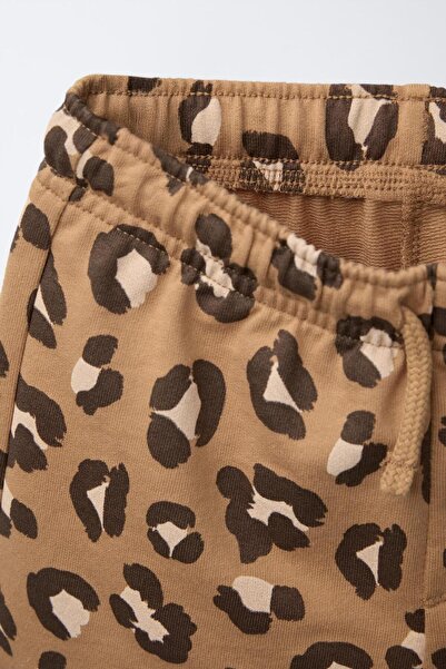 Magu Boy's Cotton Ecru Brown Leopard Printed T-Shirt and Shorts Set - Summer