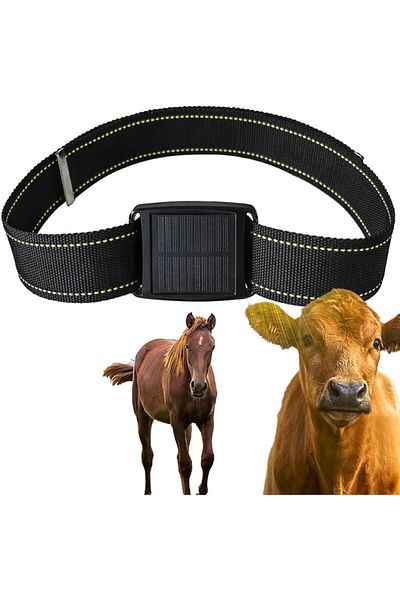 Minitechnics GPS Device for Monitoring Large Animals, Dedicated Application with Monitoring in