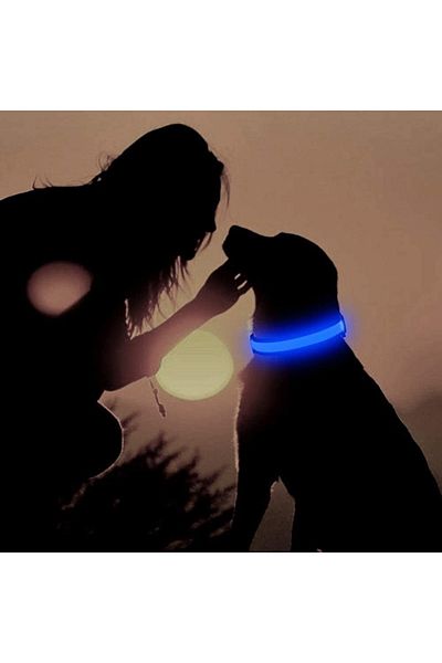 giseen Iseen dog collar, LED, thermoplastic polyurethane, blue/black, size S