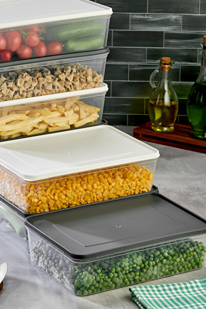 Espas Home Freshkeep Storage Container Set of 8 Suitable for Microwave and Deep Freezer - Gray / White / 8*4000 ml